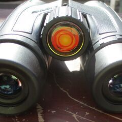 ☆ラントソーラー サンオキュラー Lunt Solar SUN OCULARS 太陽双眼鏡 8×32 White Light Binoculars◆太陽を見る事ができる唯一の双眼鏡