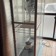 植物、爬虫類ガラス温室