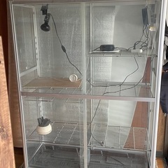 植物、爬虫類用 ピカ ガラス温室 名古屋引取り 植物、爬虫類用 ピカ ガラス温室 名古屋引取り