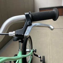 ELECTRA(TREK) 16インチ　自転車