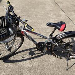 自転車 24インチ ブリヂストン