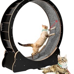 キャットホイール 中古品 完成状態でお渡し 取りに来れる方