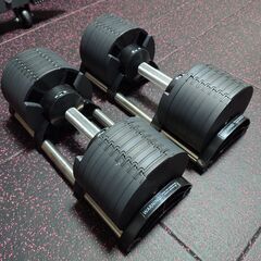 値下げ【11/10限定激安】FLEXBELL 32kg  2kg刻み NUOBELL 正規品２個セット