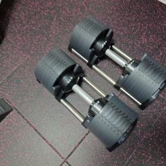 値下げ【11/10限定激安】FLEXBELL 32kg  2kg刻み NUOBELL 正規品２個セット