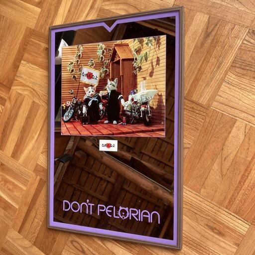 鏡 なめ猫 ～なめんなよ～ DON'T PELORIAN 壁掛け 鏡 なめ猫 ～なめんなよ～ DON´T PELORIAN 壁掛け 】 平成 福岡県 博多