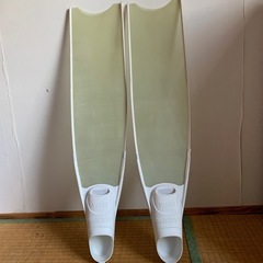 リーダーフィン
