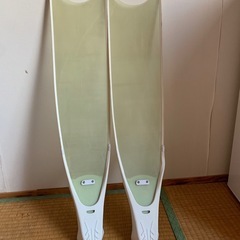 リーダーフィン
