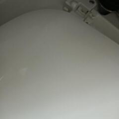 ビートウォッシュ　2021年度　訳アリの為格安