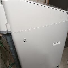 ビートウォッシュ　2021年度　訳アリの為格安