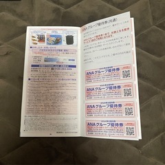 ANA株主優待　搭乗券　飛行機
