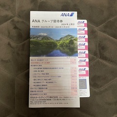ANA株主優待　搭乗券　飛行機
