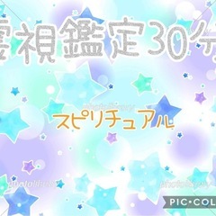 ナンバーカバー クリアグリーンセイワ当時物 公道使用禁止 (だる飯  