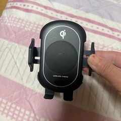 ナンバーカバー クリアグリーンセイワ当時物 公道使用禁止 (だる飯  