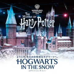 ハリーポッター スタジオツアー東京 チケット 譲ります 8/14(月）10:00