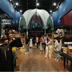 ハリーポッター スタジオツアー　チケット2枚　11月23日(土)