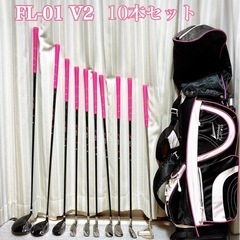 ワールドイーグル FL-01•V2 10本セット レディースゴルフ  グローブ付