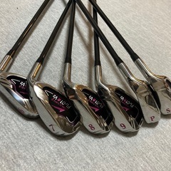 ワールドイーグル FL-01•V2 10本セット レディースゴルフ  グローブ付