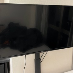 アイリスオーヤマ40型テレビ ＋ スタンド