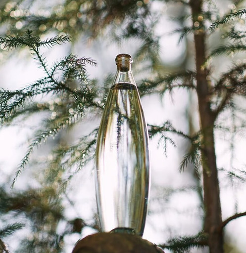 Peter Ivy bottle L 仁井田本家コラボモデル