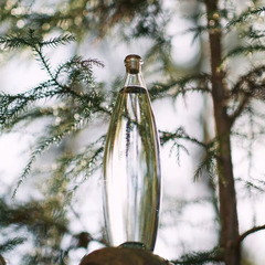 Peter Ivy bottle L 仁井田本家コラボモデル