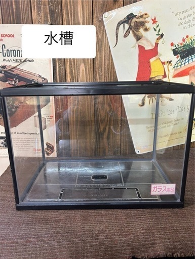 水槽