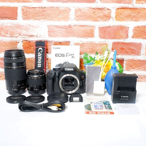 ✨美品 スマホ転送可✨ Canon EOS Kiss X5 ダブルレンズセット Canon EOS Kiss X5 標準レンズキット✨スマホ転送 美品 キヤノン Canon