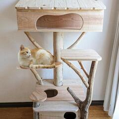流木キャットタワー『猫の城②』