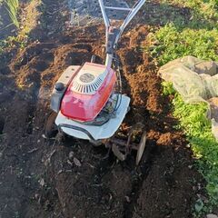 管理機（ホンダこまめ）