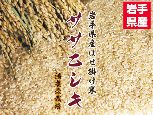 【おかげさまで完売となりました】令和6年度 新米 岩手県産 ササニシキ 玄米 20Kg 稲架掛米 （天日干し）