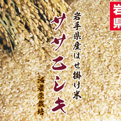 令和6年度 新米 岩手県産 ササニシキ 玄米 20Kg 稲架掛米 （天日干し）