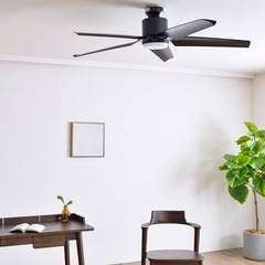 シーリングファン
