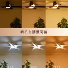 シーリングファン
