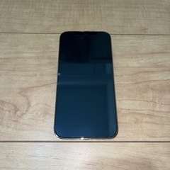 iPhone12pro 256GB※価格希望聞きます