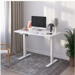 FlexiSpot 電気昇降デスク