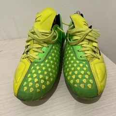 イグニタスの中古が安い！激安で譲ります・無料であげます｜ジモティー 