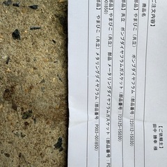 ◇やまびこ　エコーエンジンブロアー ◇　