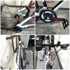 specializedクロスバイク27インチ Mサイズ SHIMANO3×8段変速