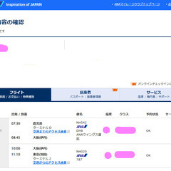 1月7日発　鹿児島→羽田　航空券