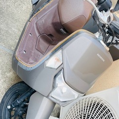 原付ホンダダンク (はづき) 伊勢原のホンダの中古あげます・譲ります｜ジモティーで不用品の処分