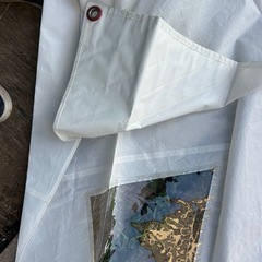 レーザースタンダードセイル