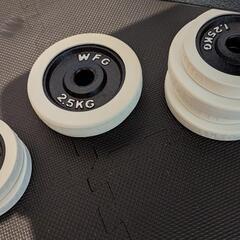 ダンベル60kg（30kg×2）とトレーニングベンチ