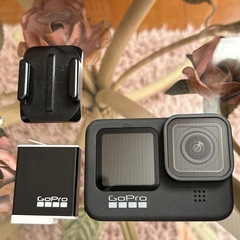 GoPro9 写真の物全て