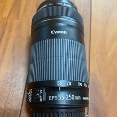 【Canon望遠レンズ】EF-S55-250mm F4-5.6 IS STM
