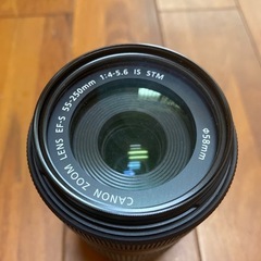 【Canon望遠レンズ】EF-S55-250mm F4-5.6 IS STM