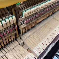 中古アップライトピアノ APOLLO SR551 高さ132cm 製造1981年