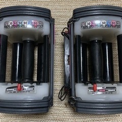 パワーブロック正規品　引き取り 楽天市場】powerblockの通販