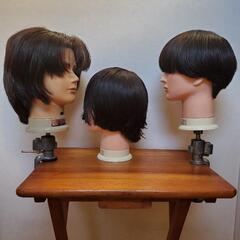 1体〜可！国家試験用ウィッグ11体 拡散希望