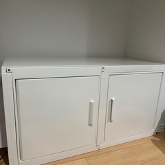 冷やし虫家 100L (神奈川県)