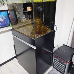 商談中 引き取り限定！150cmオーバーフロー水槽セット