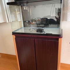 和歌山県の水槽台の中古が安い！激安で譲ります・無料であげます  